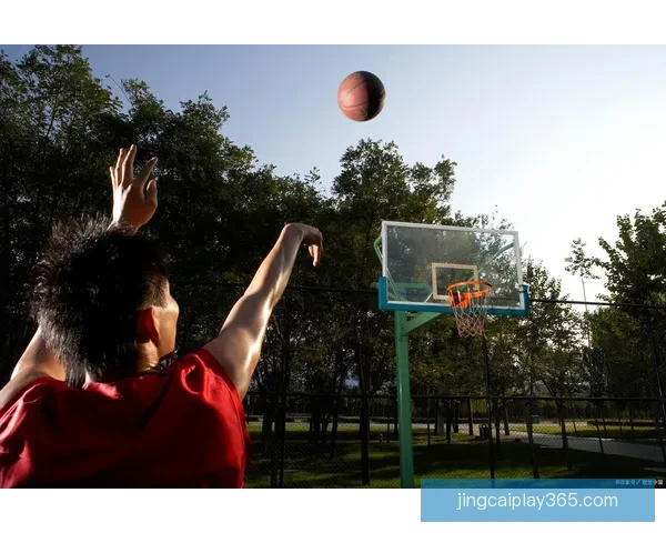 文班揭秘：投篮之外我还热爱探索流星与暗物质奥秘